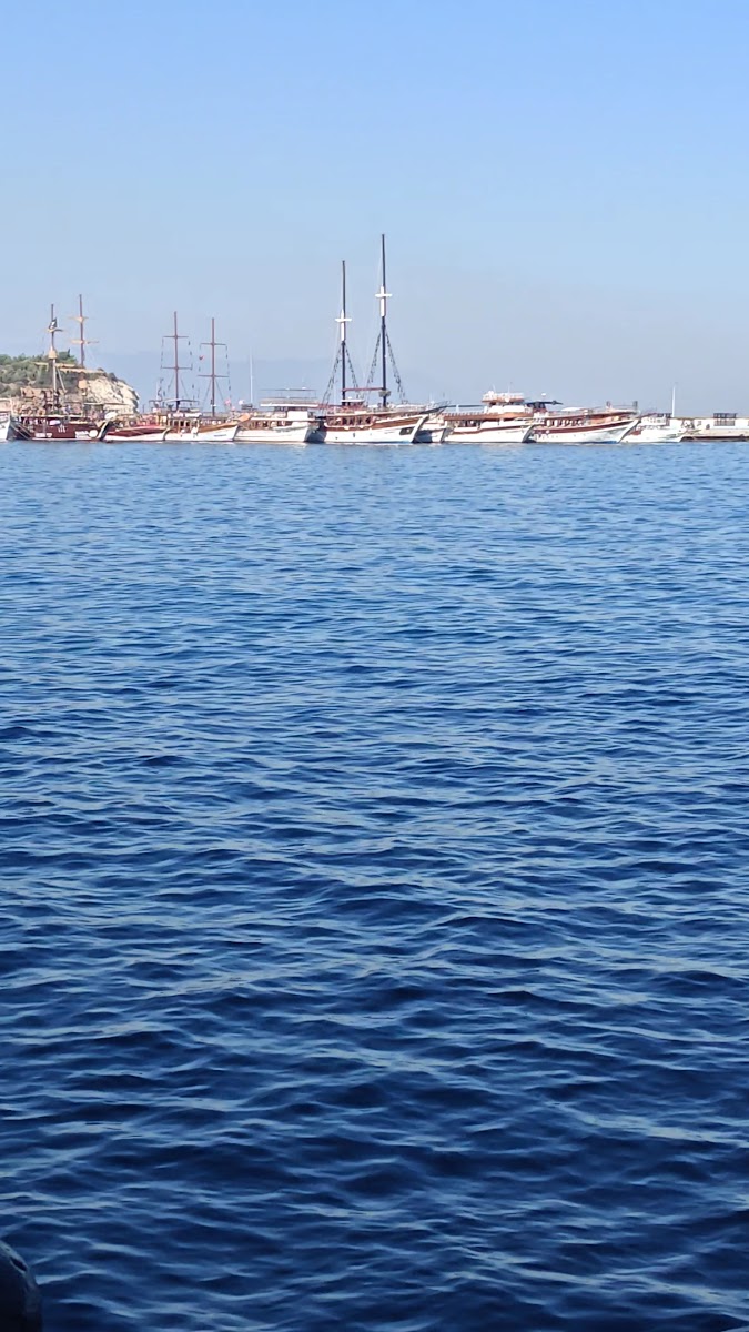 PORT YELKEN SEAFOOD RESTAURANT — photo 3