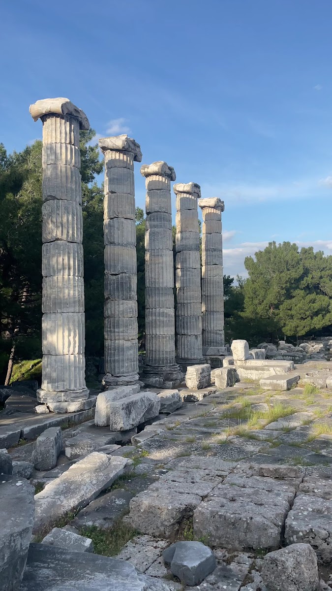 Priene Athena Tapınağı — fotoğraf 3