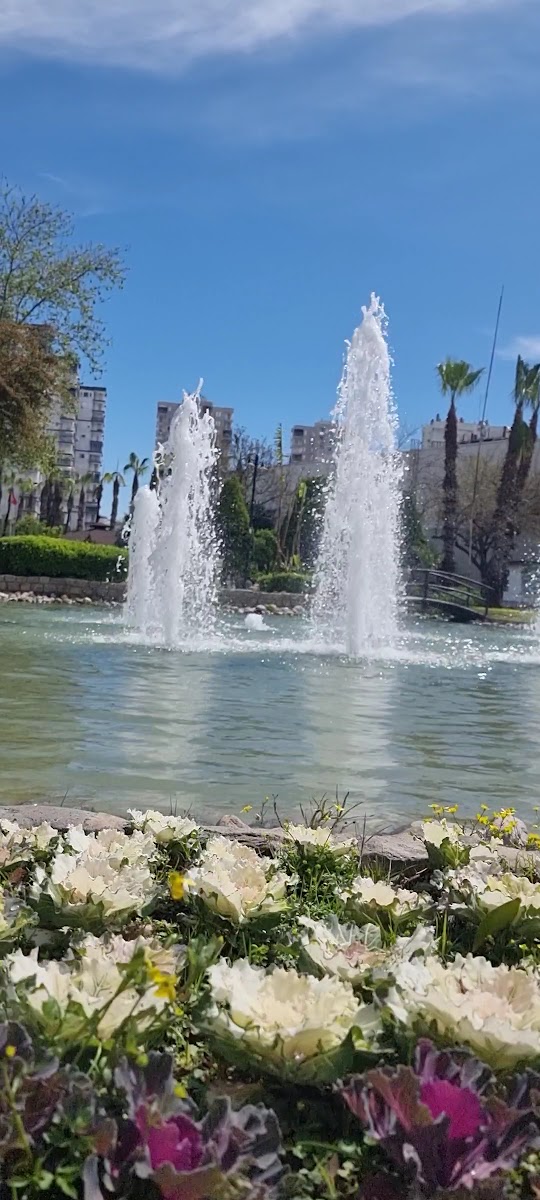 Prof. Dr. Erdal İnönü Kent Parkı — fotoğraf 2