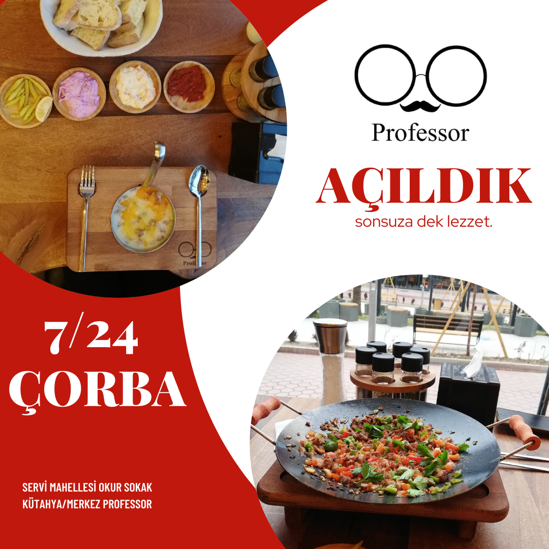 Professor Restorant — fotoğraf 2