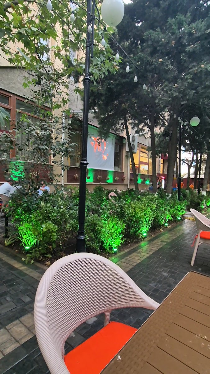 Qabırğa — photo 3
