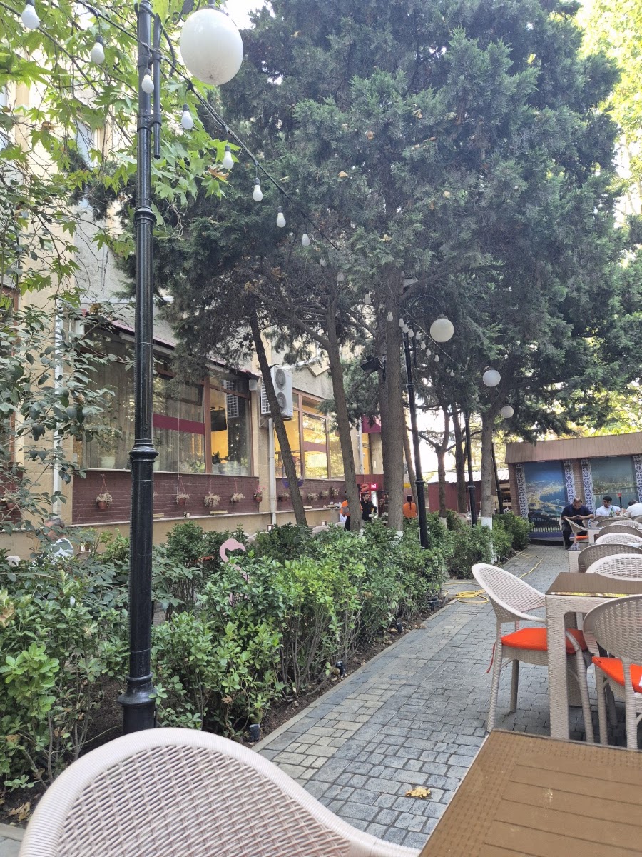 Qabırğa — photo 5