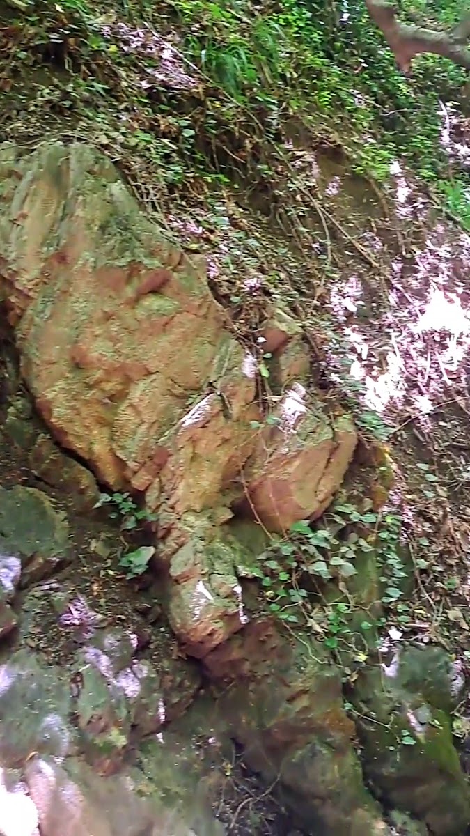 Qurucana Şəlaləsi ( Waterfall) — photo 4