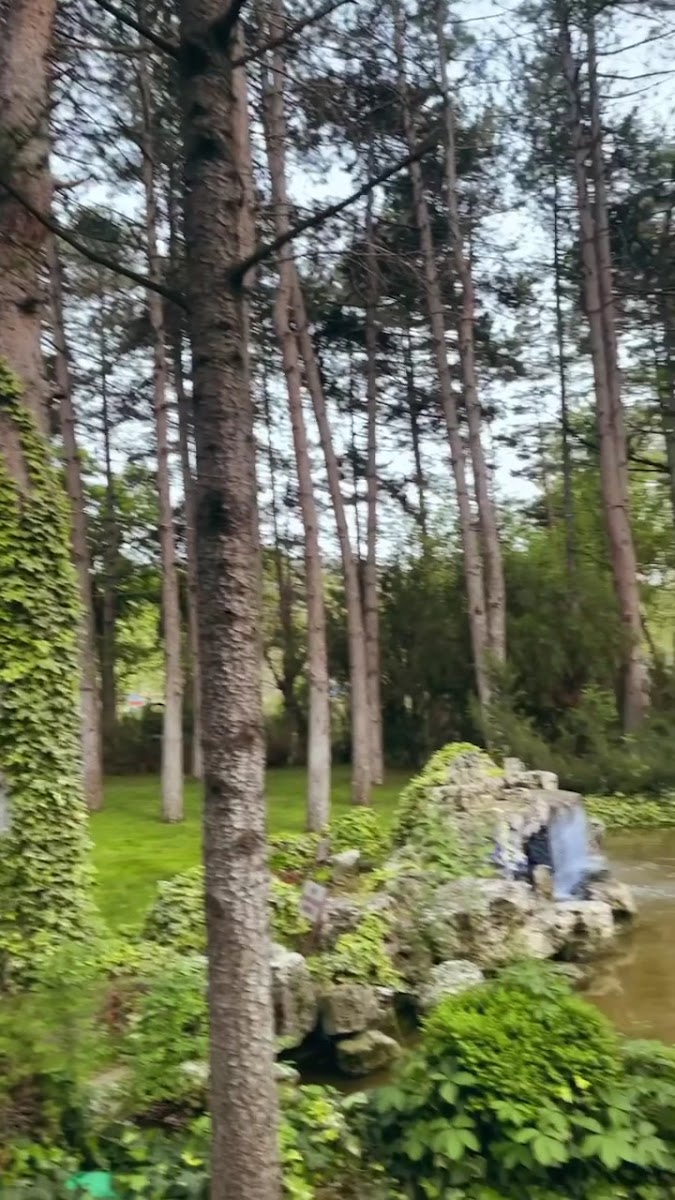 Regülatör piknik alanı çınar organizasyon — fotoğraf 3