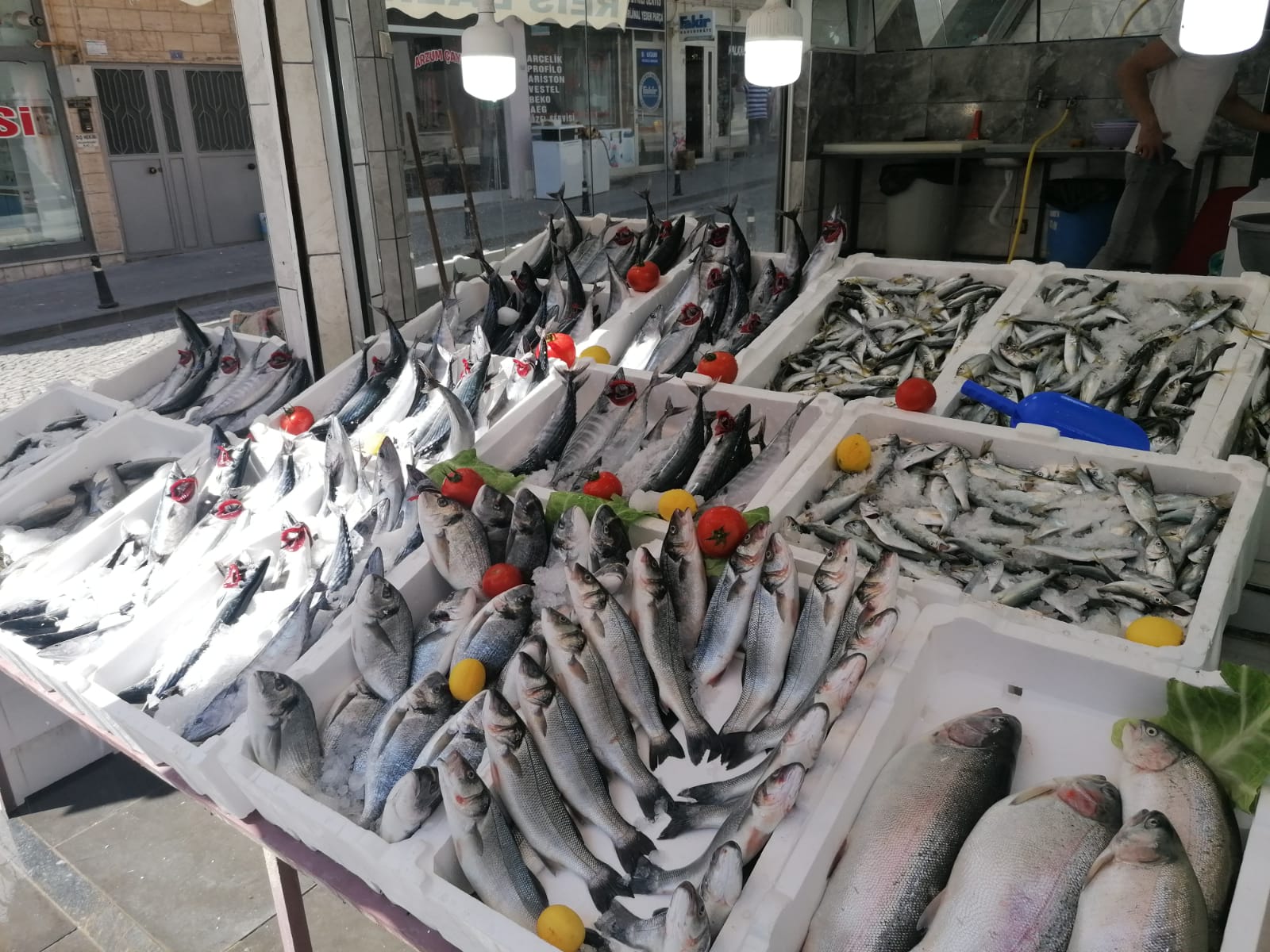 Reis Balıkçılık — fotoğraf 3