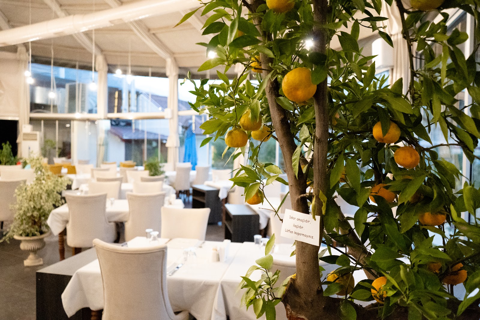 Renes Balık Restoran — fotoğraf