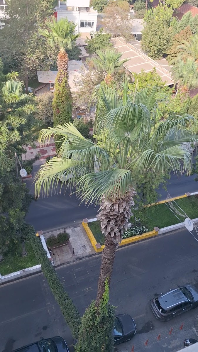 Rest Inn Aydın Hotel — fotoğraf 3