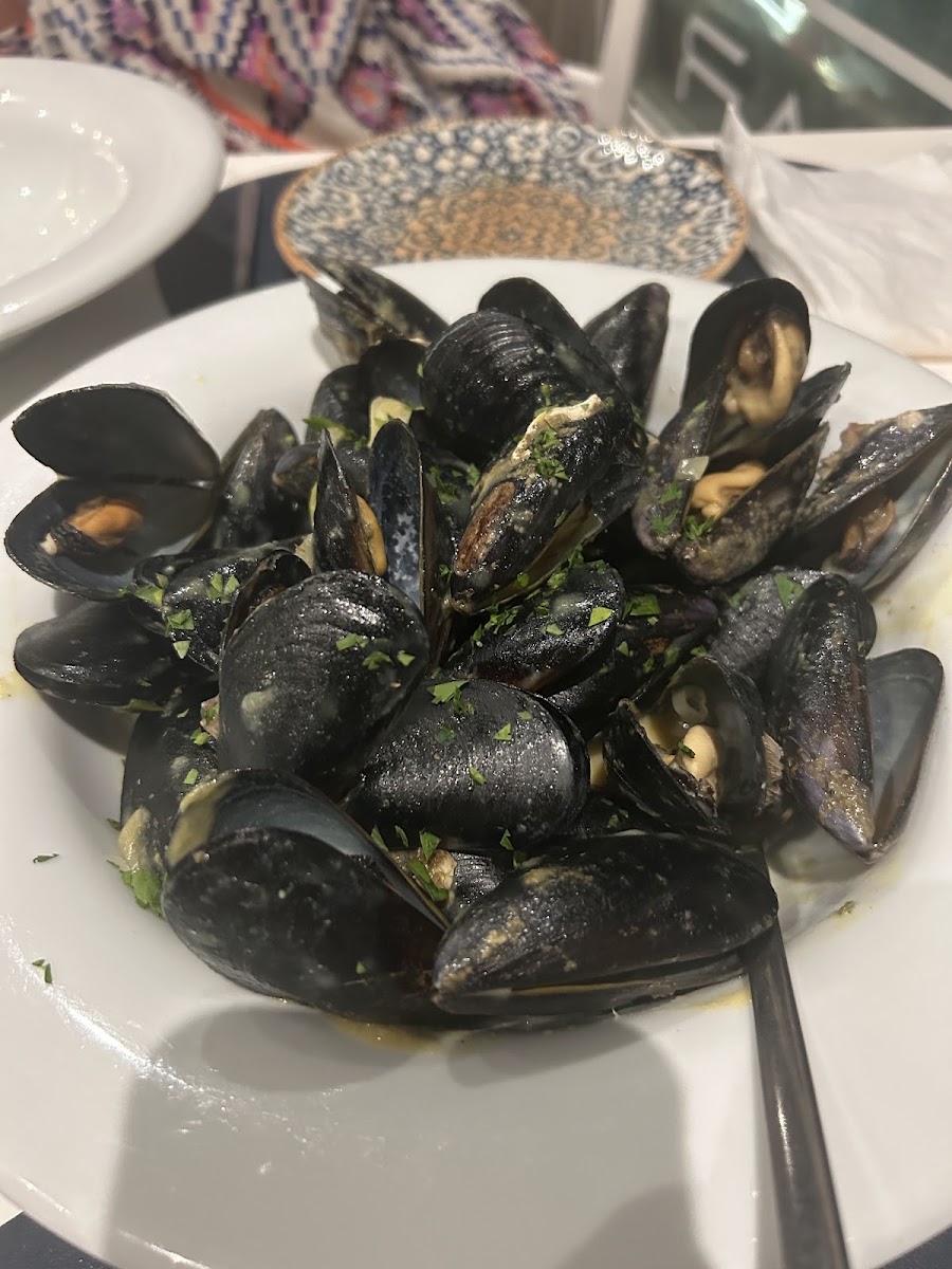 Restaurant Scala — photo 11