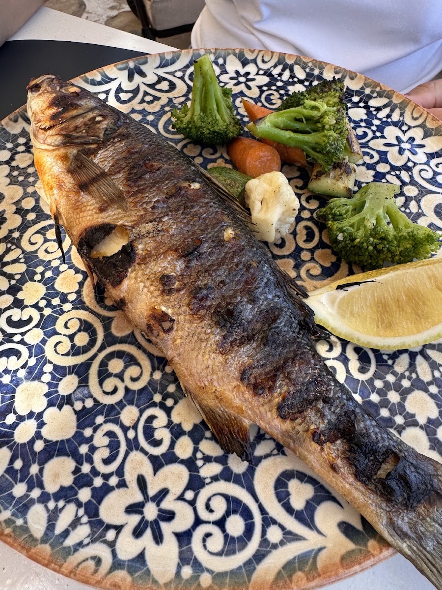 Restaurant Scala — photo 3