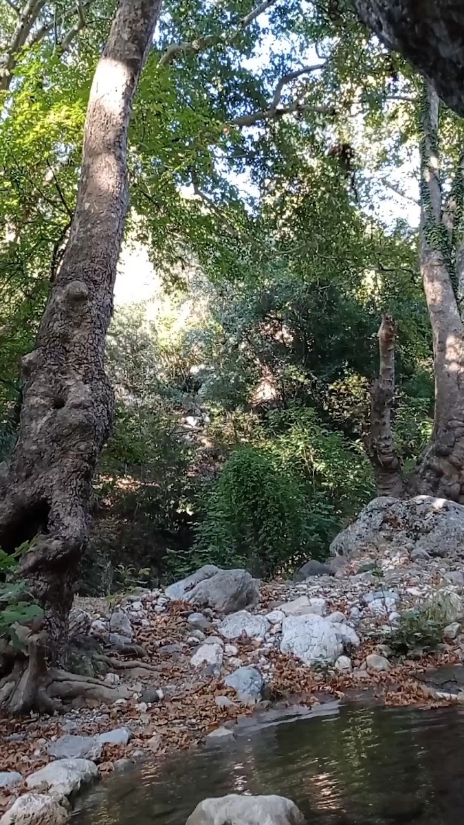 Rido Camp — fotoğraf 3