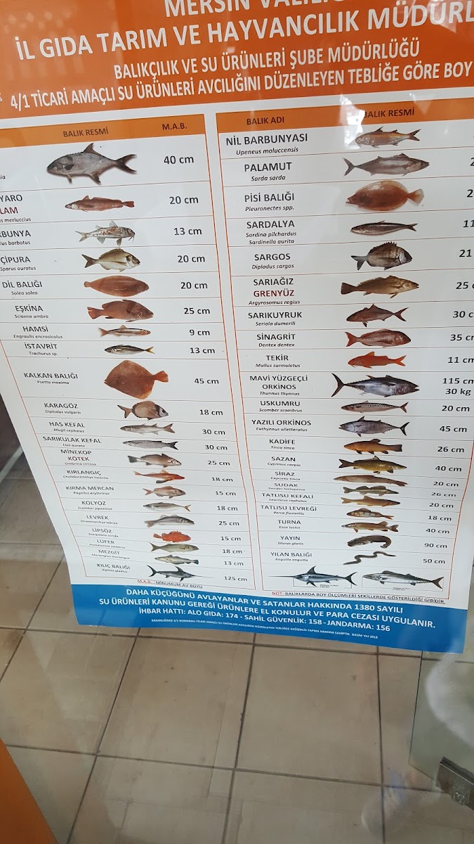 Rina Restaurant — fotoğraf 2