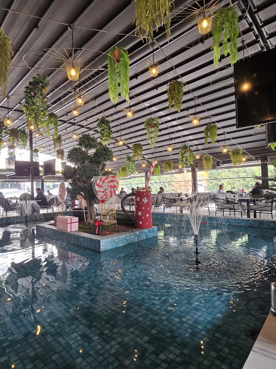 Riva Lounge — fotoğraf 2