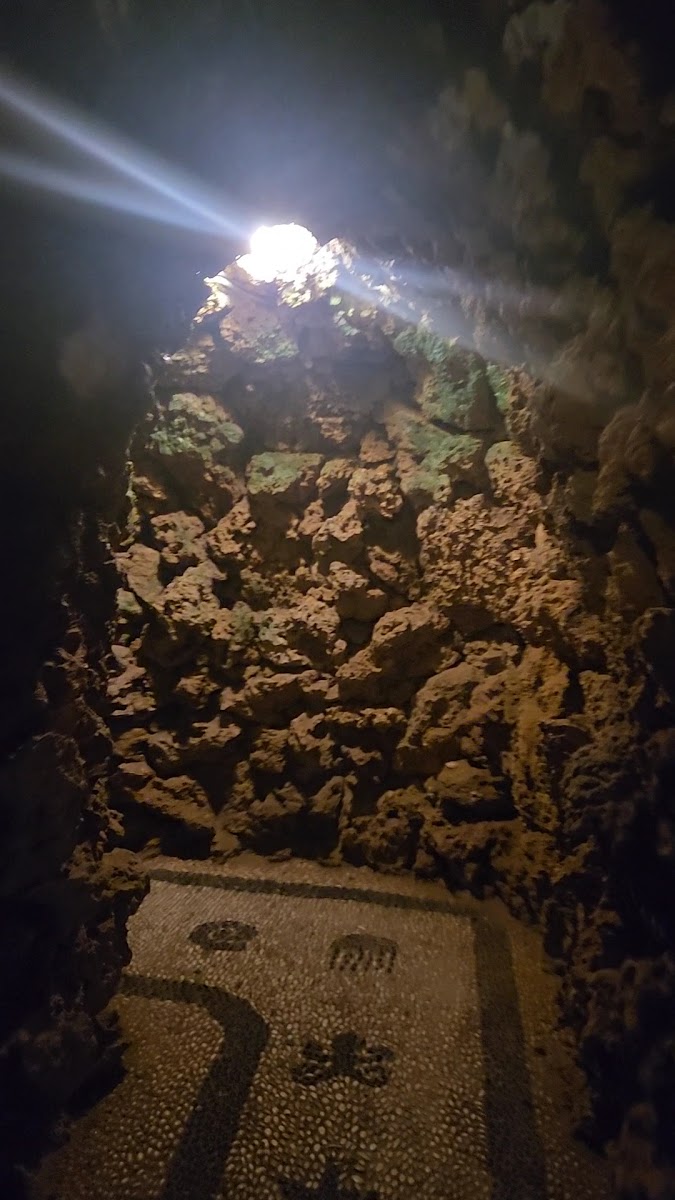 Rodos Akvaryumu — photo 3