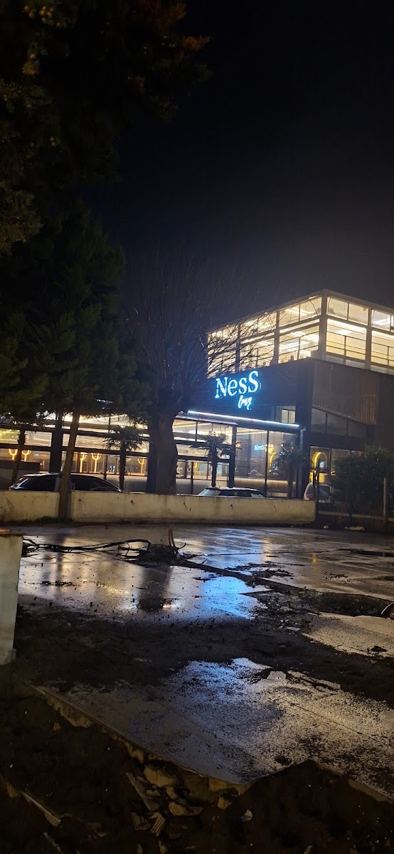 ROKA BALIK ORDU — fotoğraf 2