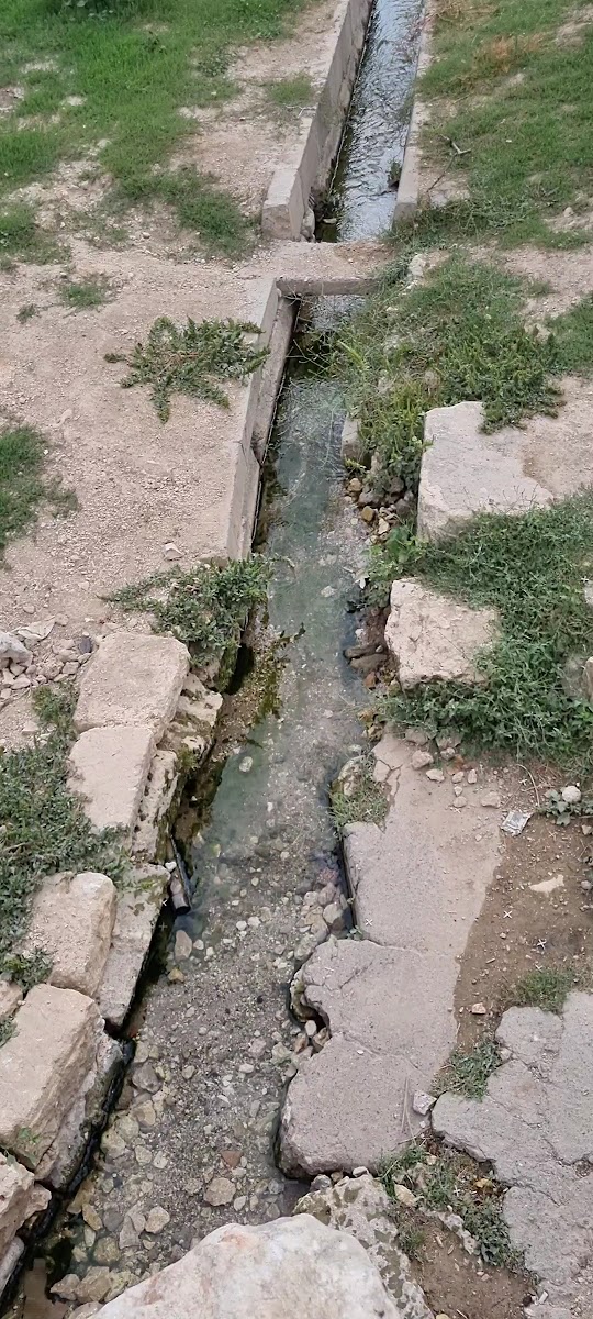 Roma Çeşmesi — fotoğraf 4