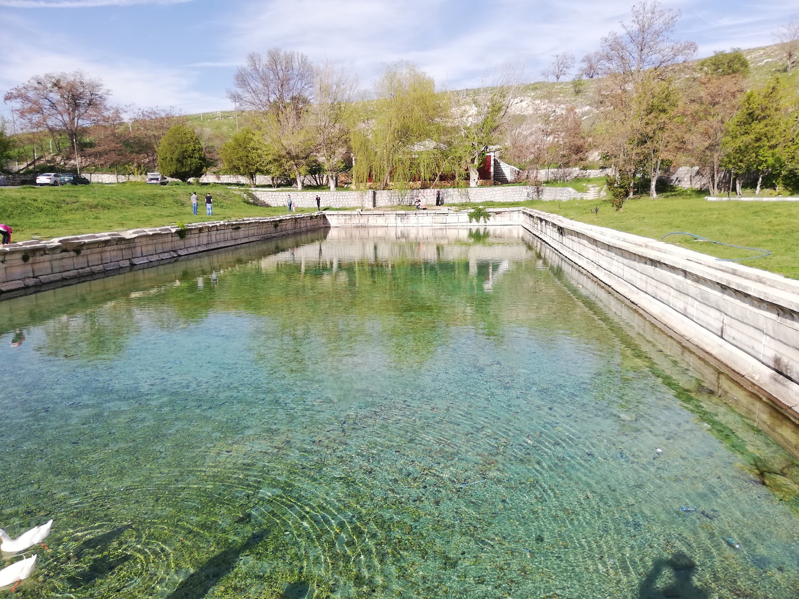 Roma Havuzu — fotoğraf