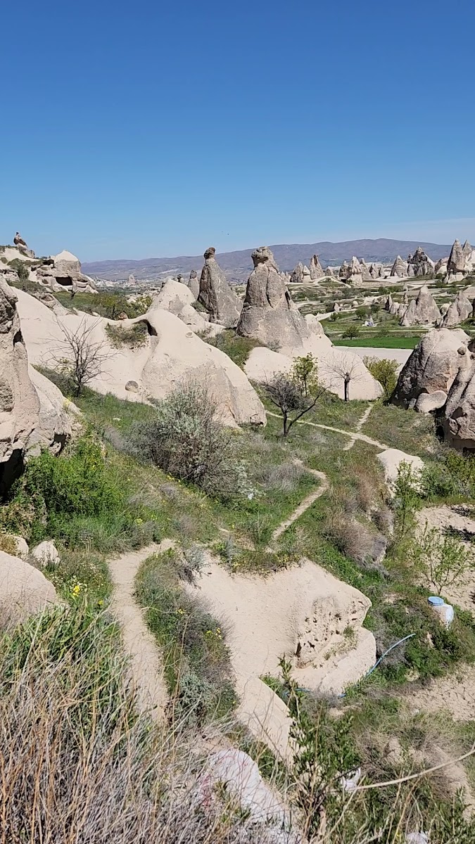 Rose Valley - Gül Vadisi — fotoğraf 3