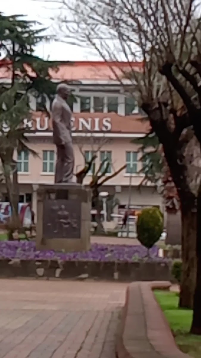 Rubenis AVM — fotoğraf 2