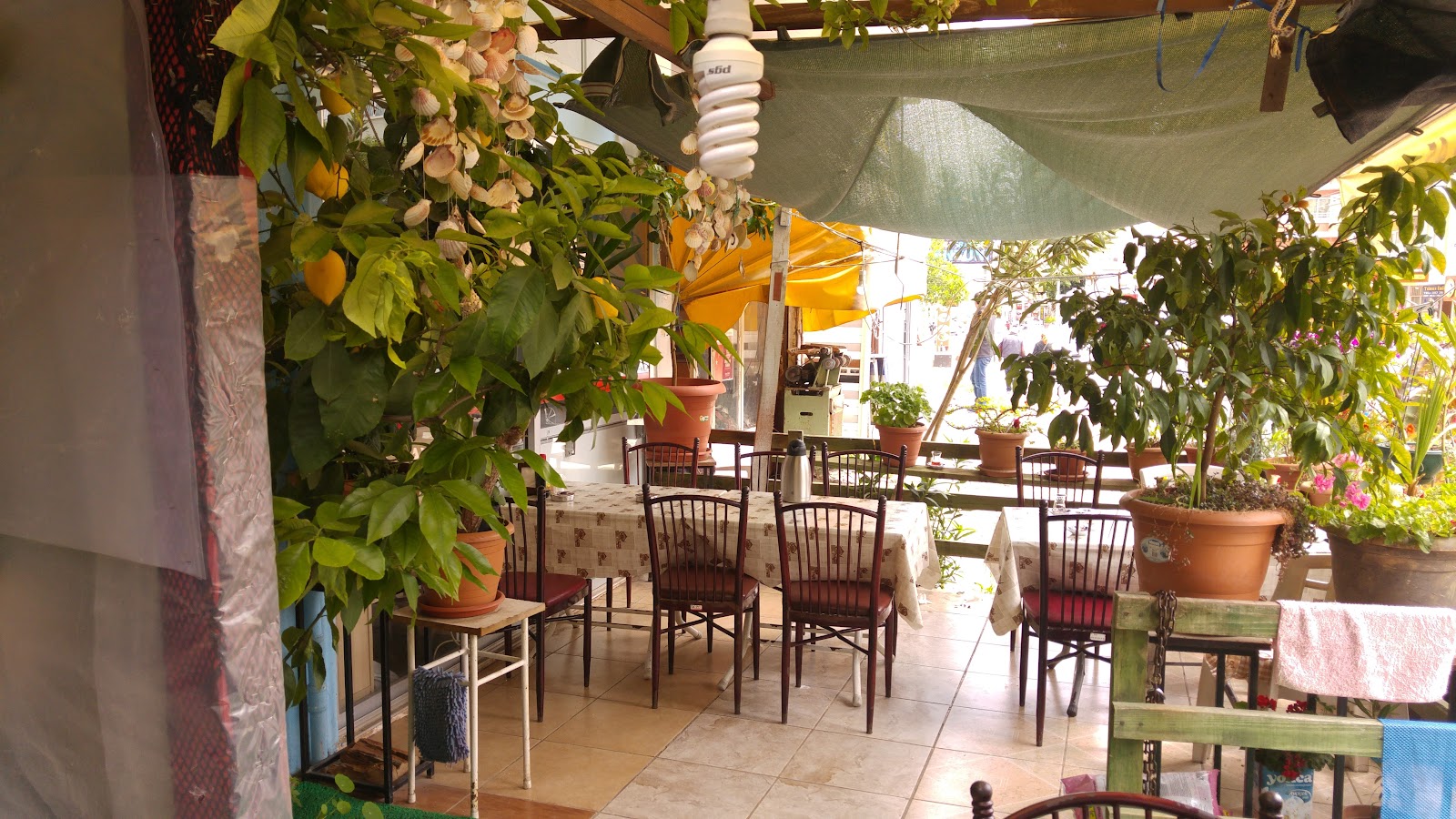 Rüzgar Balık Evi — photo 5