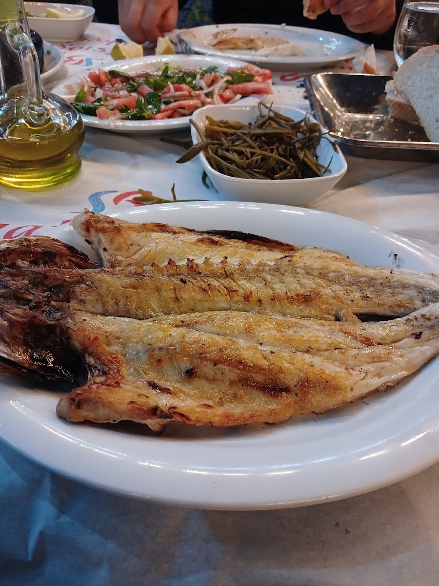 Saatçioğlu Balıkçılık — fotoğraf 5
