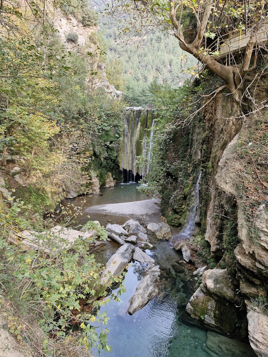 Sabun çayı mesire alanı — fotoğraf