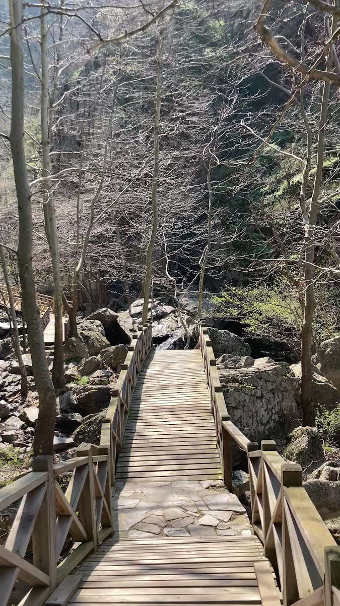 Sadağı Kanyonu Tabiat Parkı — fotoğraf 4