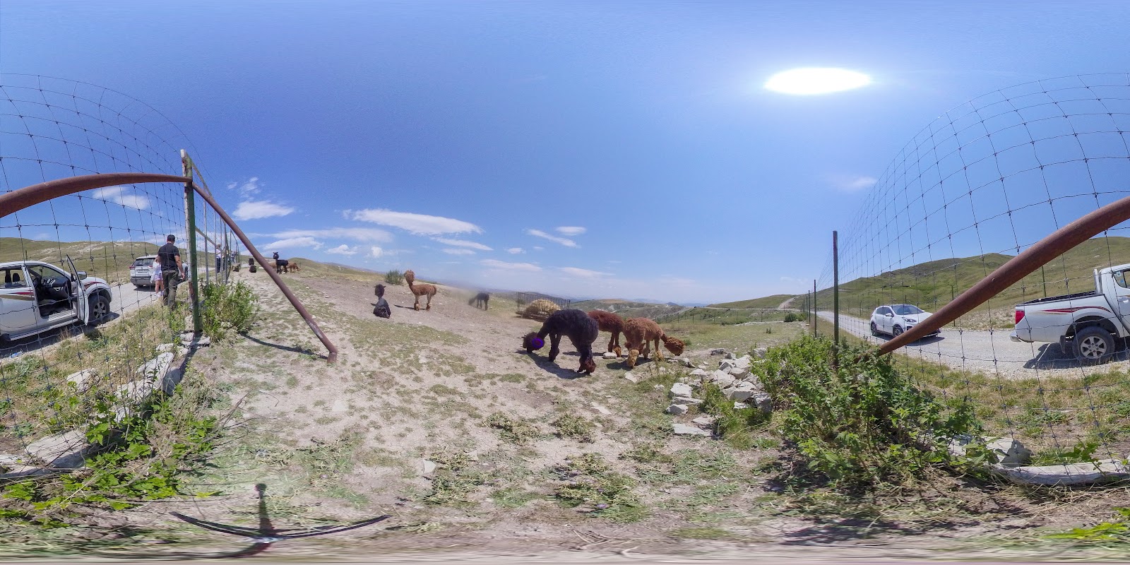 Safari Park — photo 3