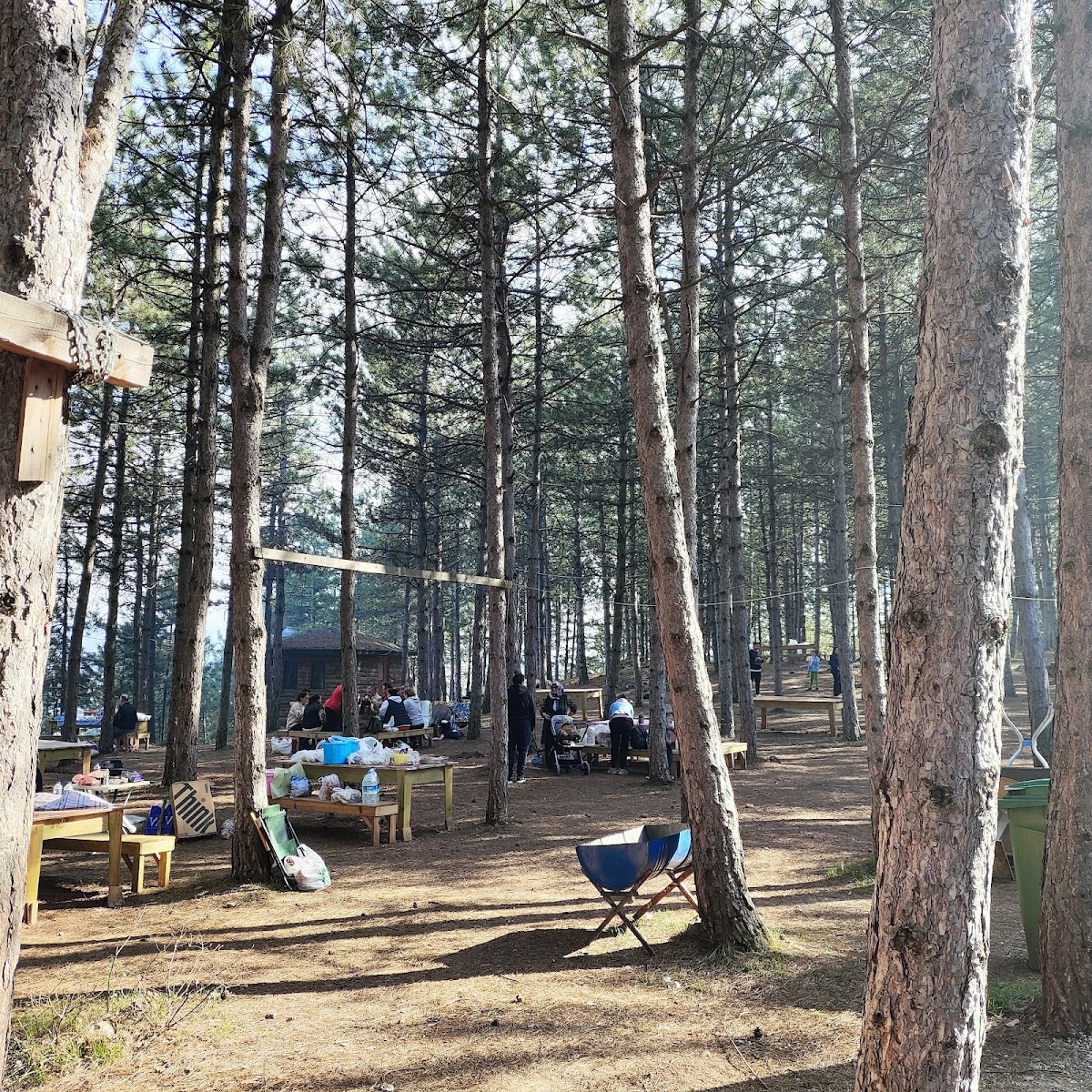 Safranbolu Kent Ormanı — fotoğraf