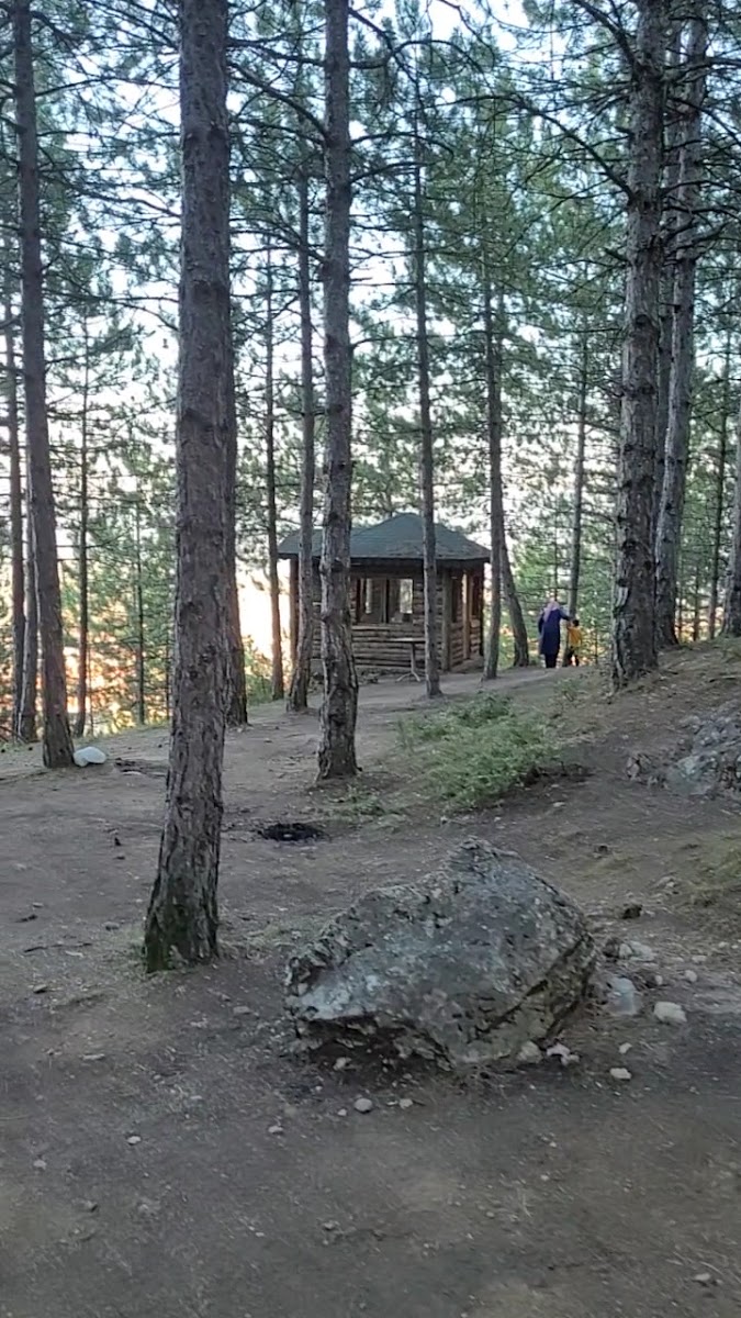 Safranbolu Kent Ormanı — fotoğraf 3