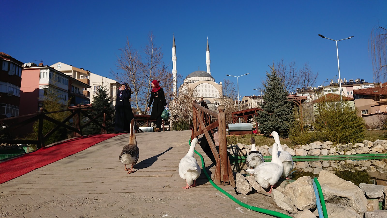 Safranbolu Merkez Parkı — fotoğraf 2