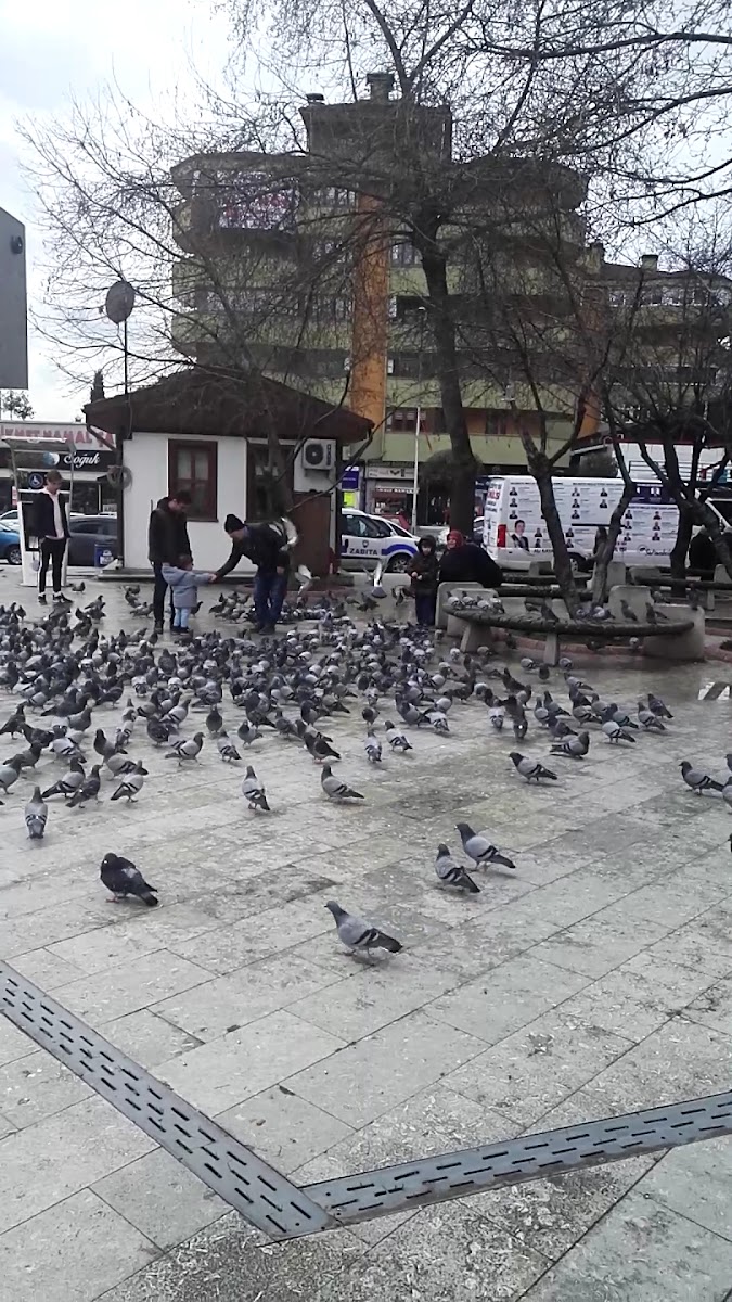 Safranbolu Merkez Parkı — fotoğraf 3