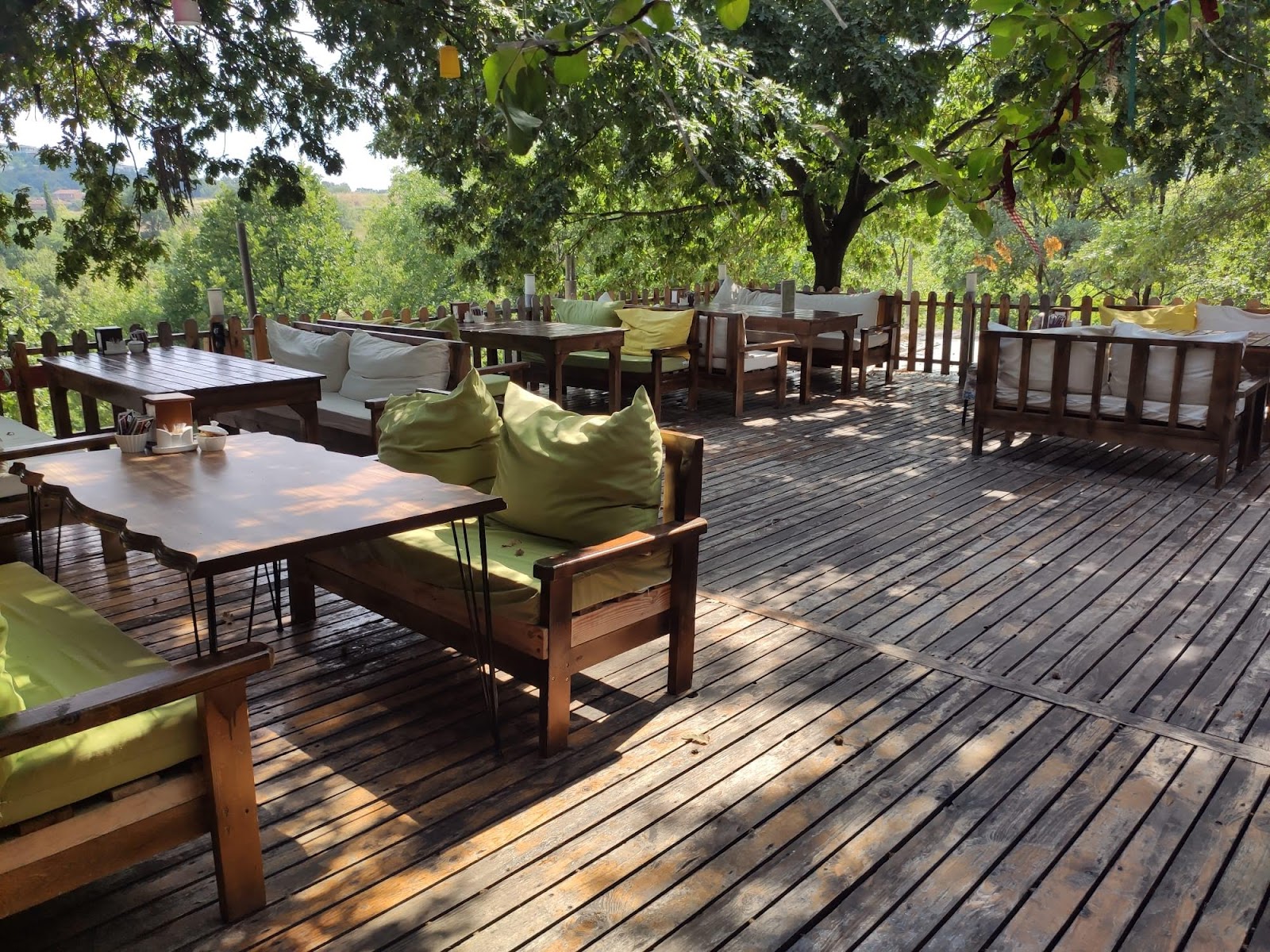 Safransisco Bahçe — fotoğraf 5