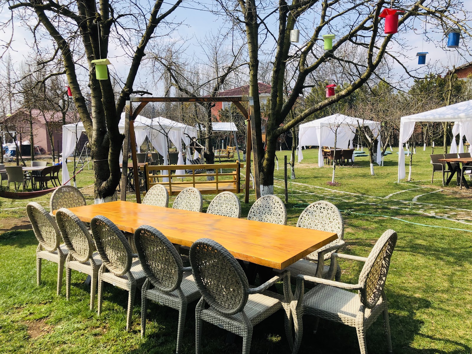 Şahyar Kirazlı Bahçe — fotoğraf