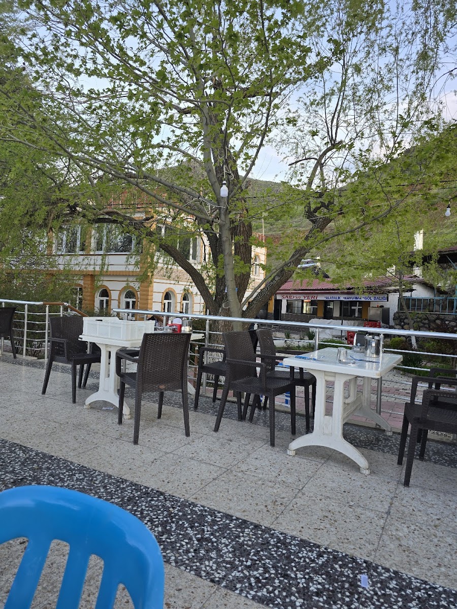 Said'in Yeri Balık Evi — fotoğraf 4