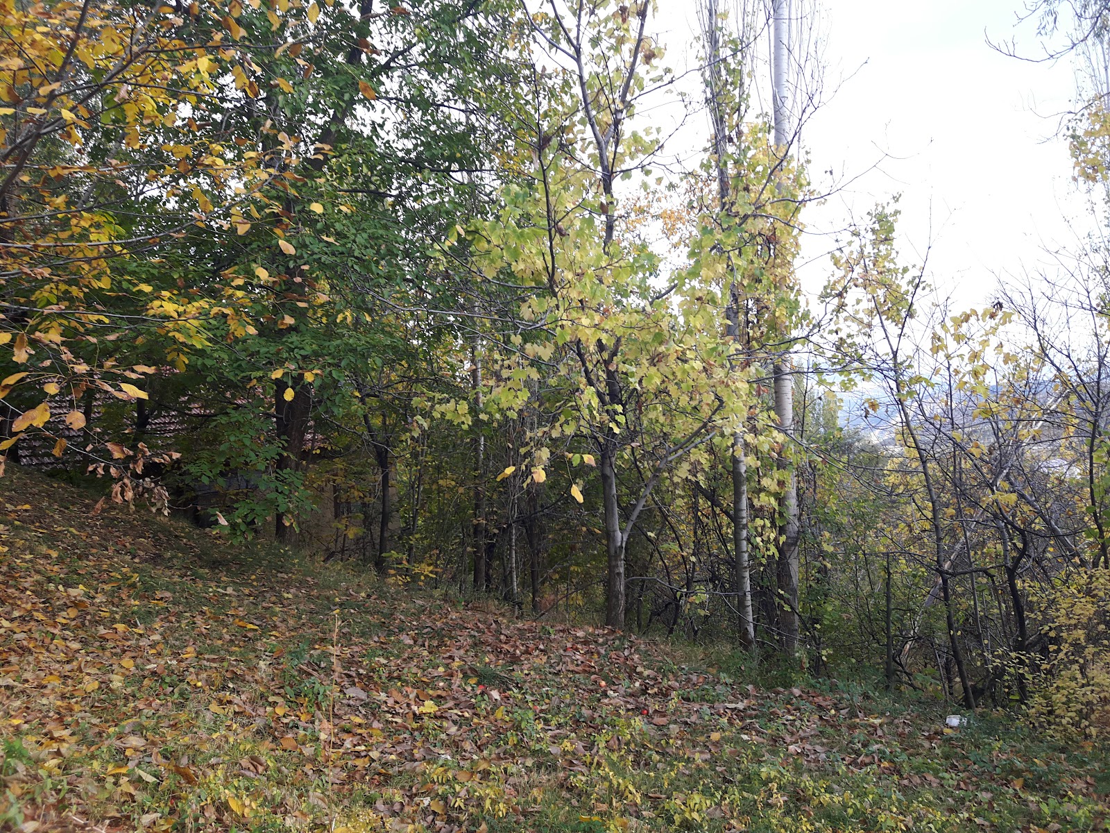Sait Bulut Parkı — photo 2