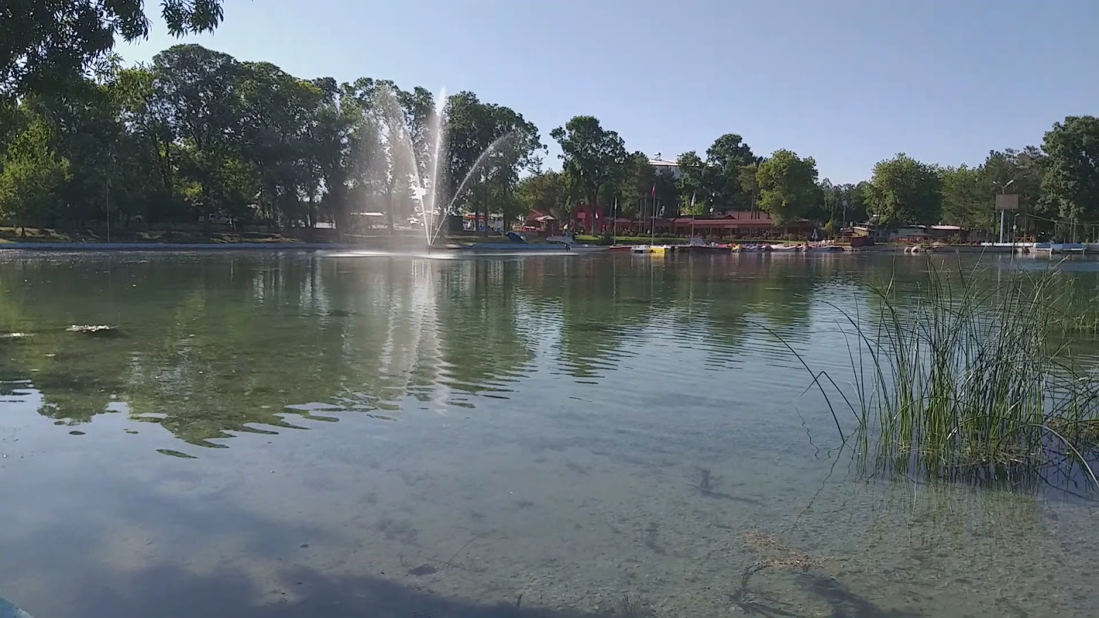 Sakarya Başı Piknik Alanı — fotoğraf 3