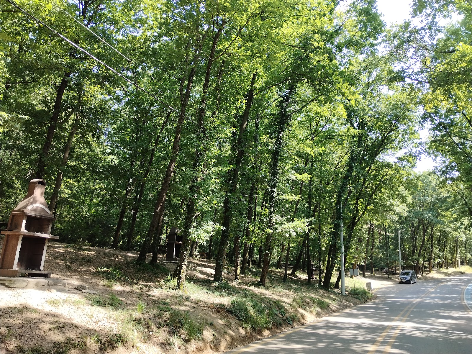 İl Orman Mesire Yeri — fotoğraf