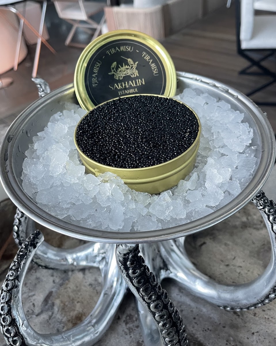 Sakhalin İstanbul — fotoğraf 10