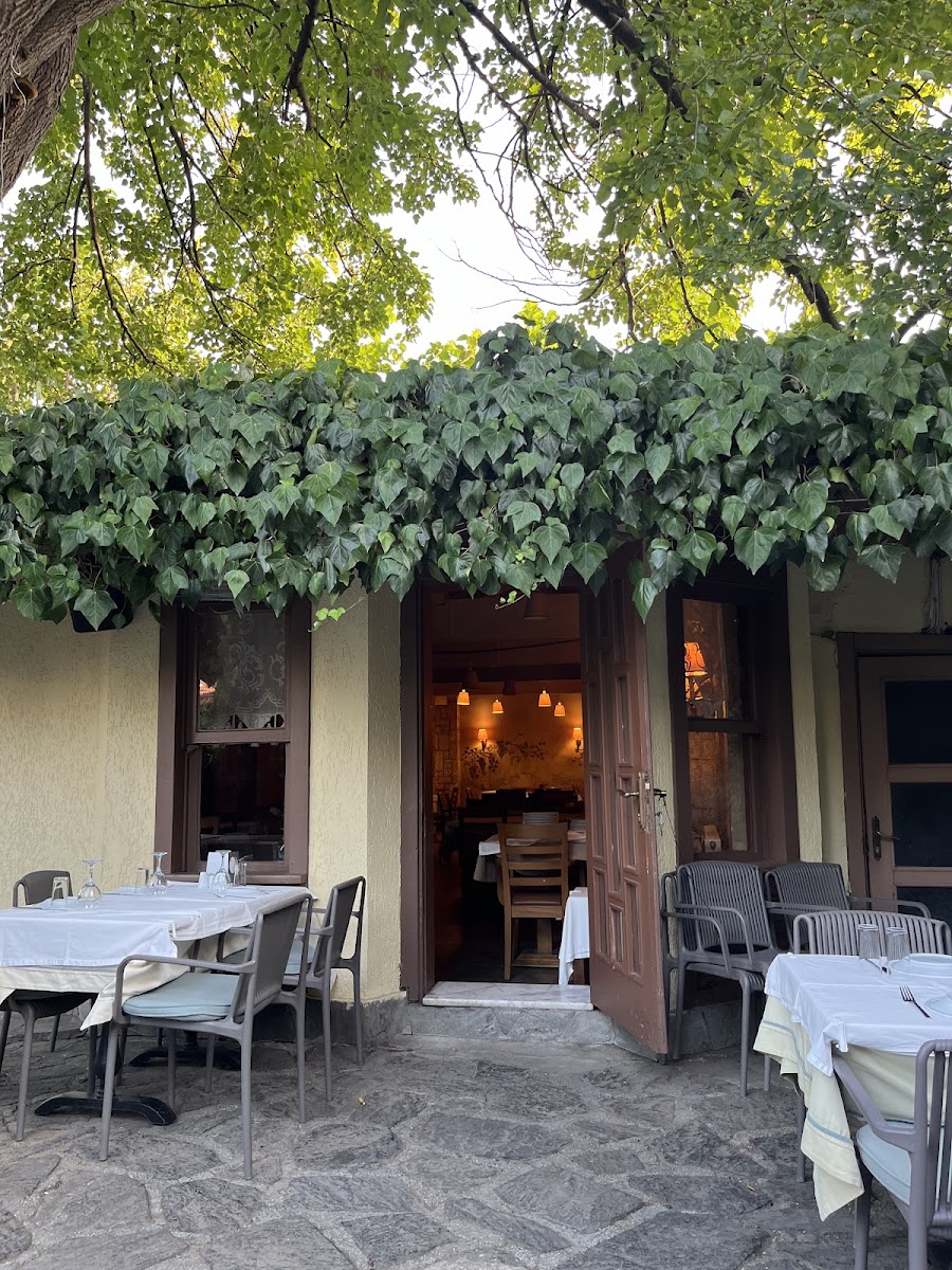 Saki Rum Meyhanesi — photo 5