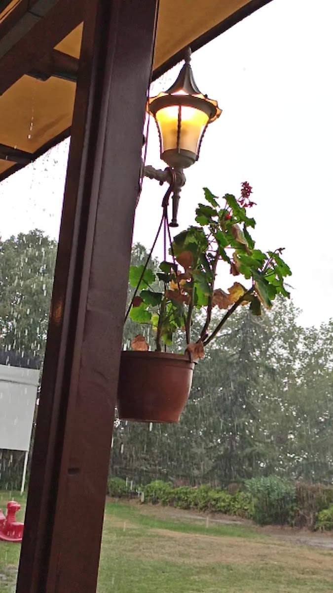 Saklı Bahçe Bursa Çekirge Kapalı Otoparklı Kafe — photo 3