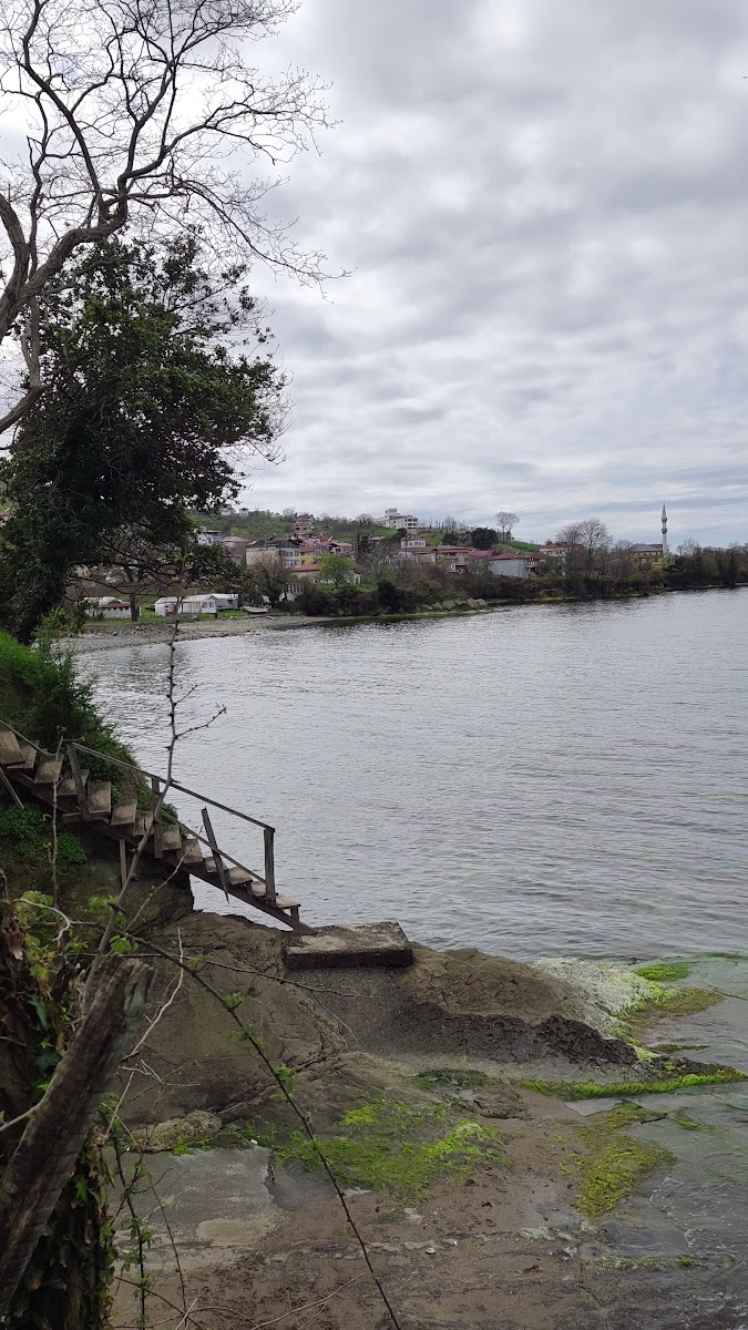 Saklı Bahçe Çaytepe — fotoğraf 2