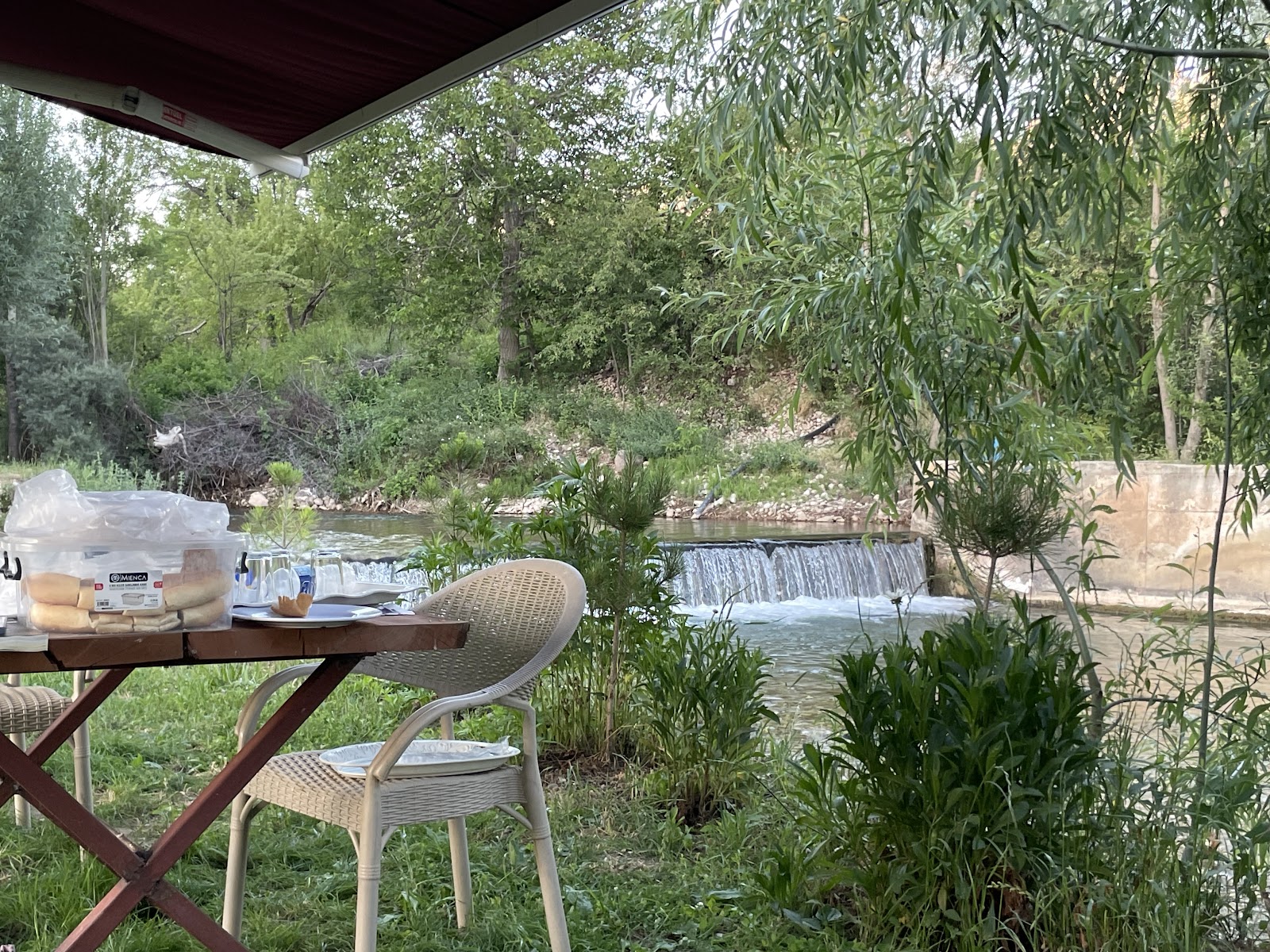 Saklı bahçem — fotoğraf 1