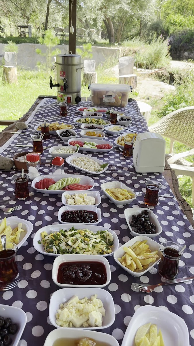 Saklı bahçem — fotoğraf 3