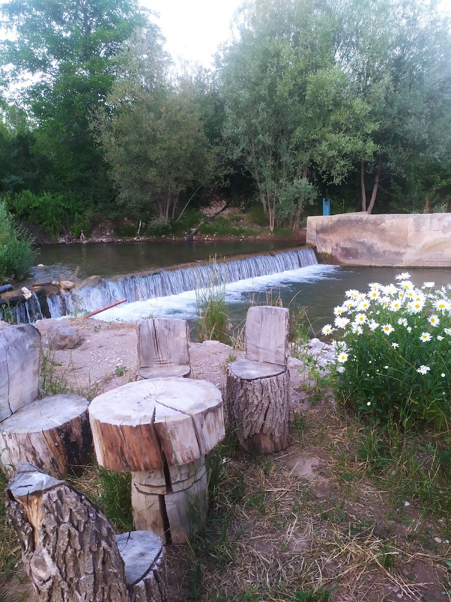 Saklı bahçem — fotoğraf 4