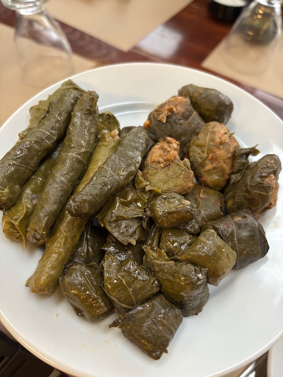 SAKLIBAHÇE — fotoğraf 10