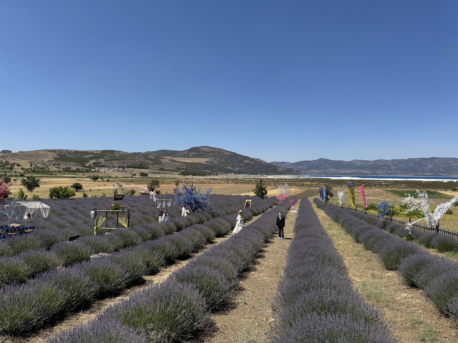 SALDA LAVANTA — fotoğraf 2