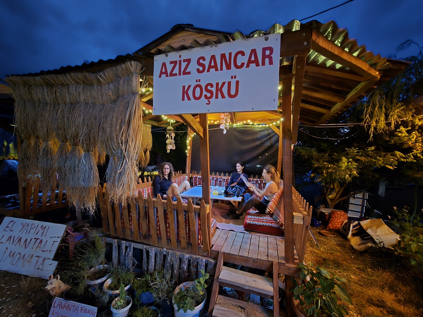SALDAMis — fotoğraf