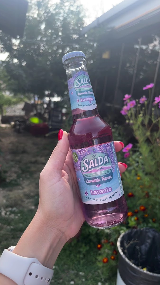 SALDAMis — fotoğraf 3