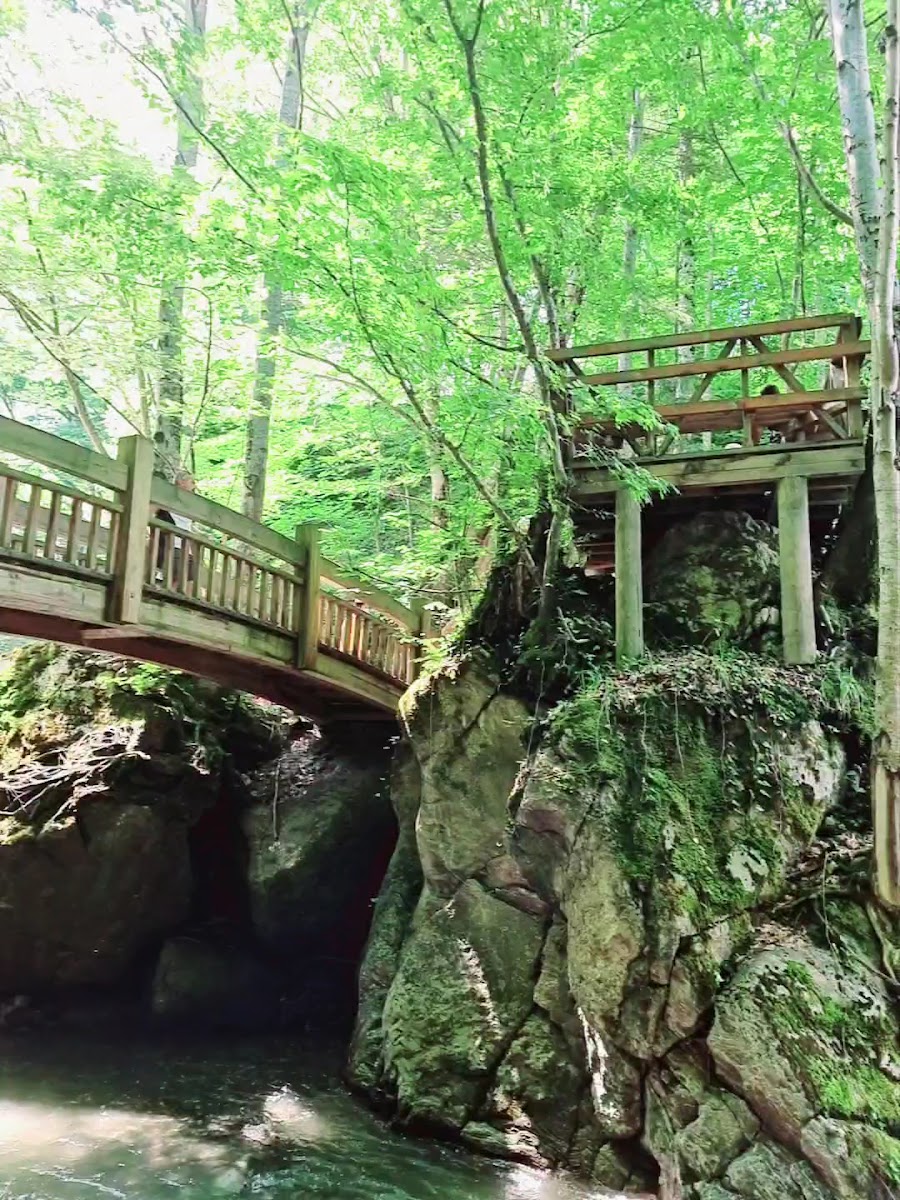 Samandere Şelalesi Tabiat Anıtı — fotoğraf 3