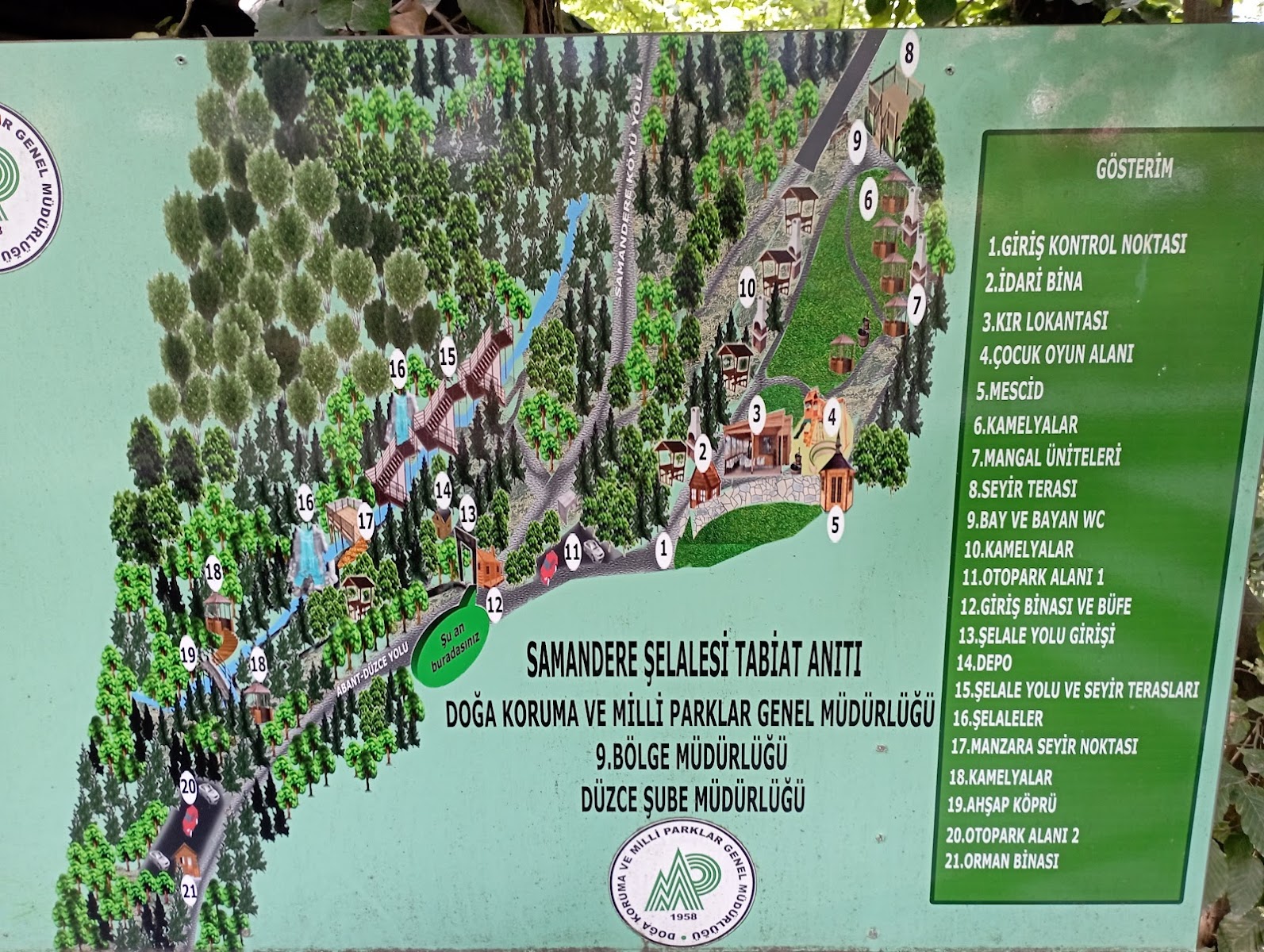 Samandere Şelalesi Tabiat Anıtı — fotoğraf 4